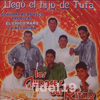 Llego El Hijo De Tuta's cover