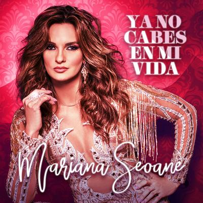 Ya No Cabes en Mi Vida By Mariana Seoane's cover