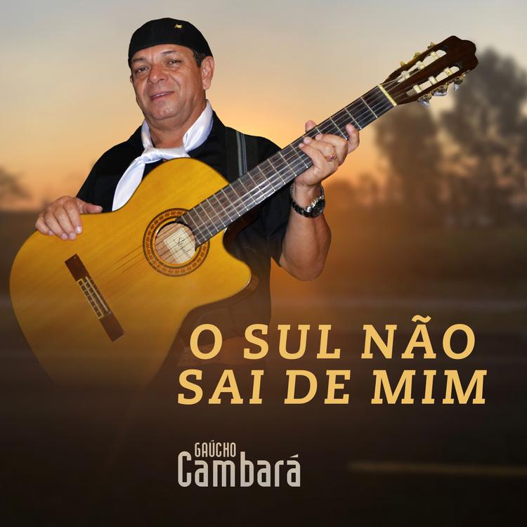 Gaúcho Cambará's avatar image
