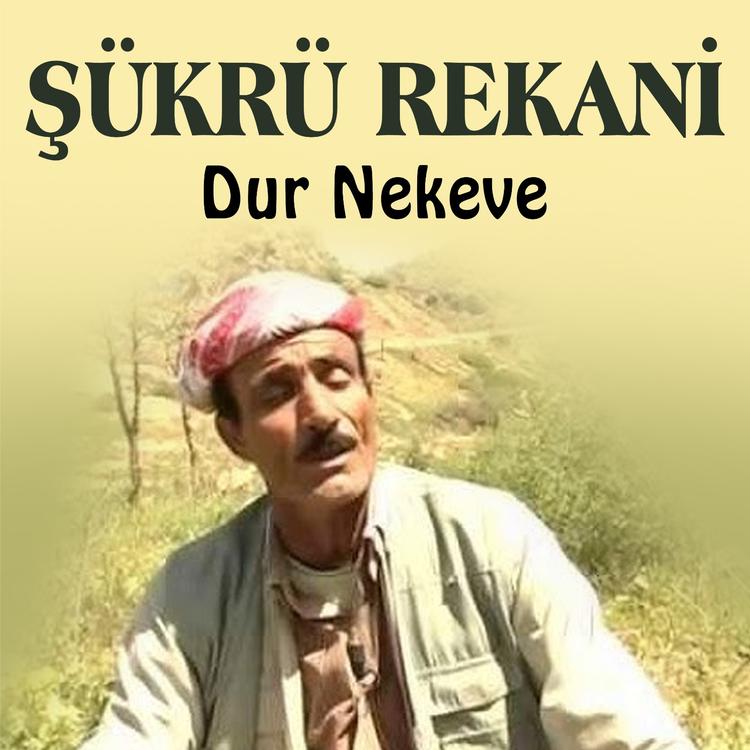 Şükrü Rekani's avatar image