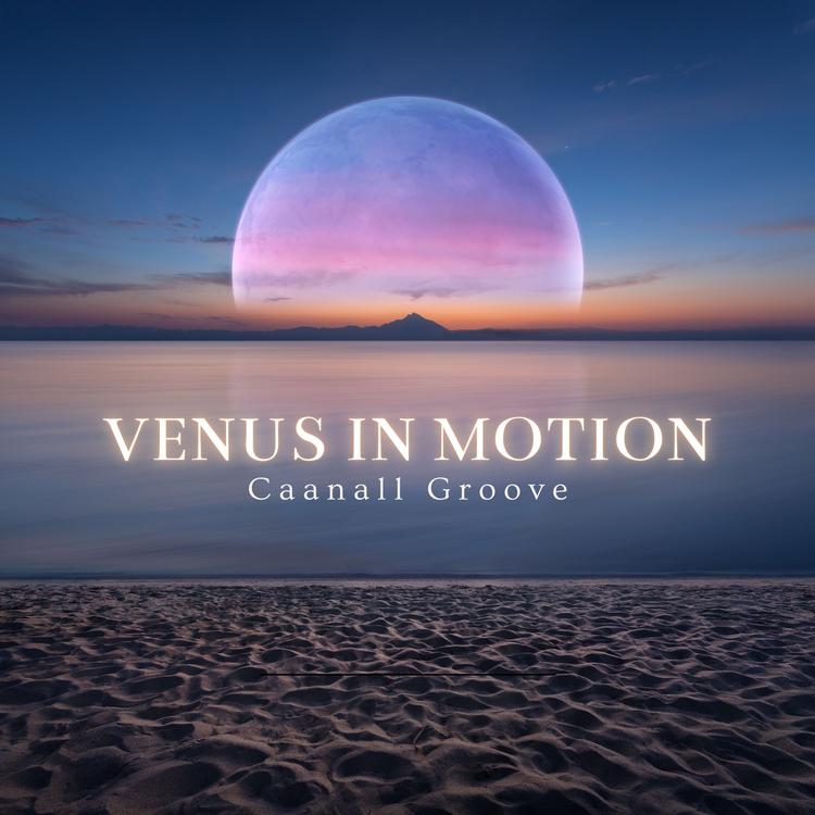 Caanall Groove's avatar image