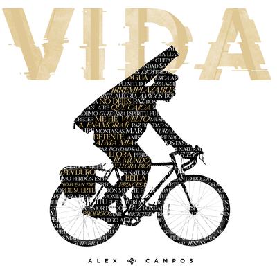 VIDA's cover