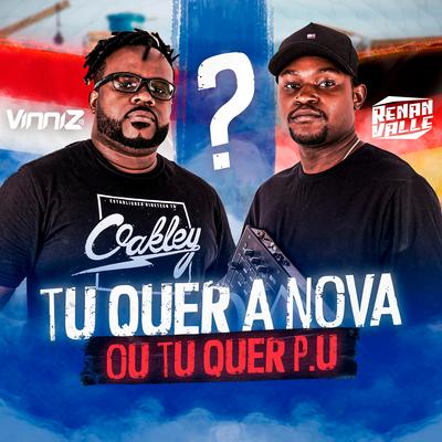 Tu Quer a Nova ou Tu Quer P.U By vinniz dj, Dj Renan Valle's cover