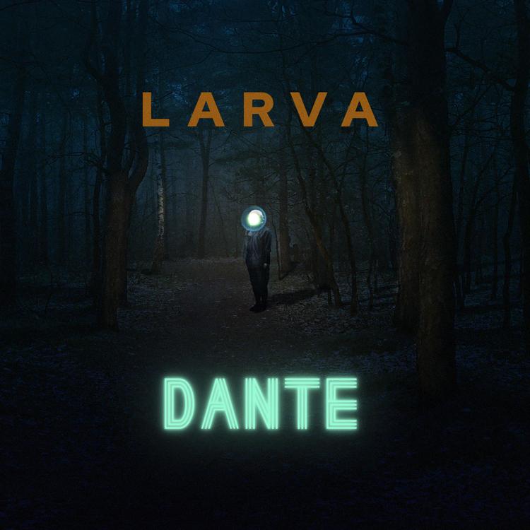 Larva's avatar image