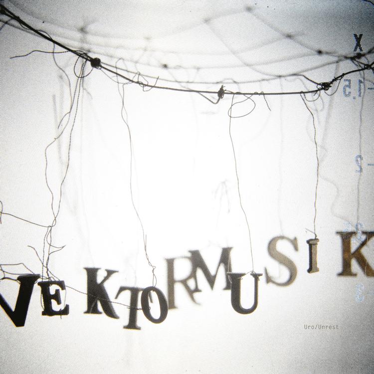 Vektormusik's avatar image