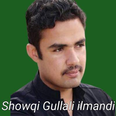 Showqi Gulali Ilmandi's cover