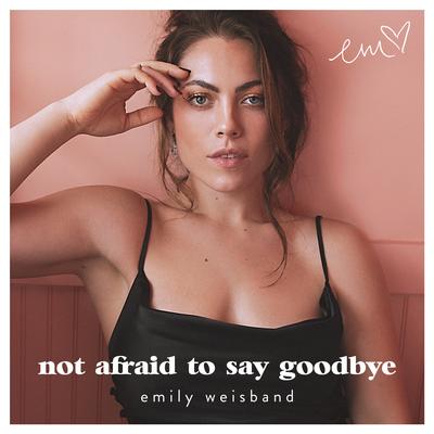The Way I Say Goodbye By Emily Weisband's cover