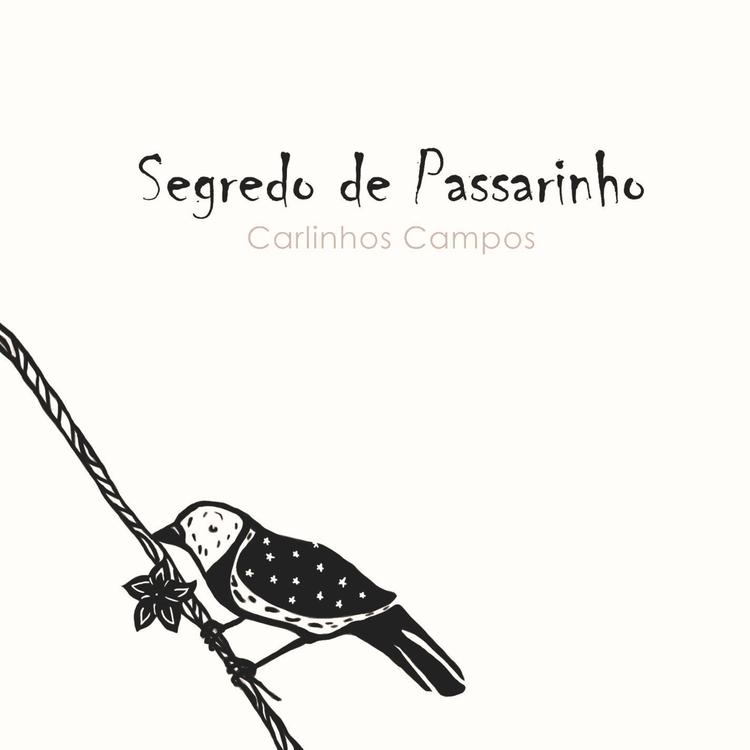 Carlinhos Campos's avatar image