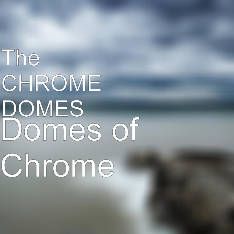 The CHROME DOMES's avatar image