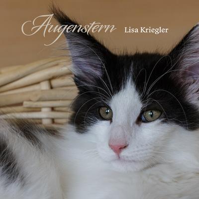 Augenstern By Lisa Kriegler's cover