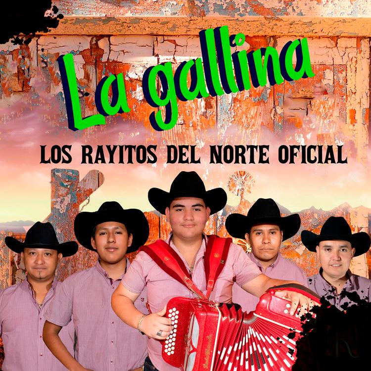 RAYITOS DEL NORTE OFICIAL's avatar image