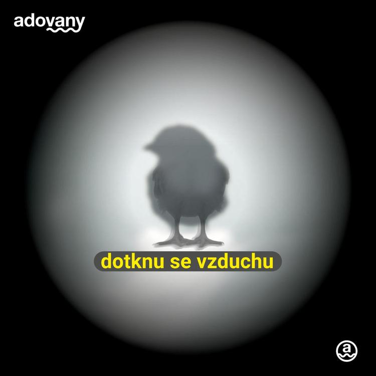 Adovany's avatar image