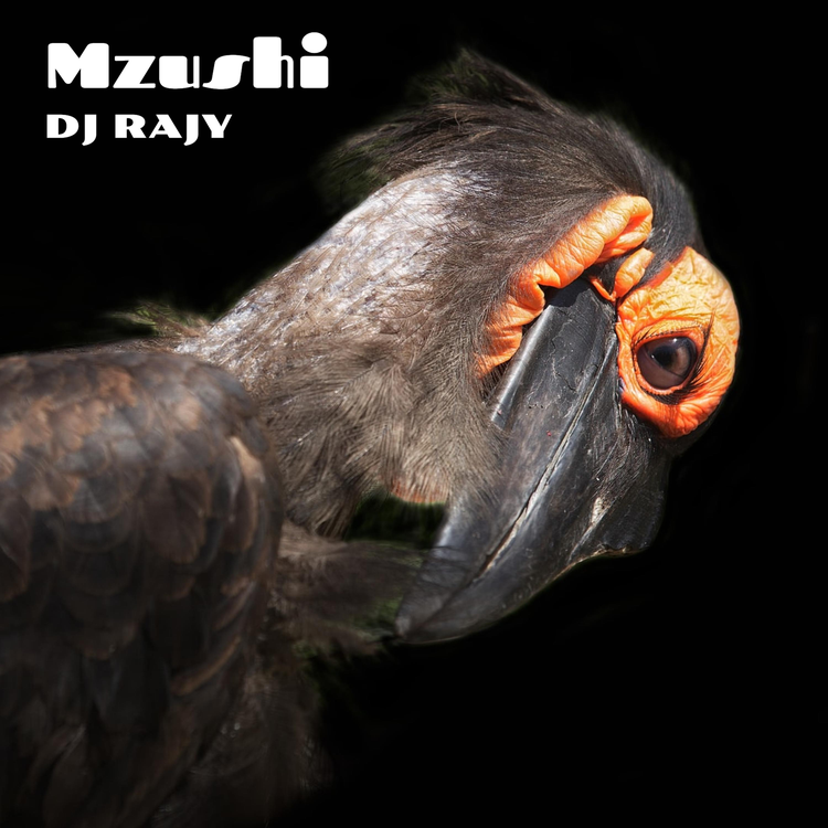 DJ RAJY's avatar image