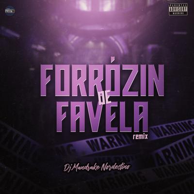 Forrózin de Favela (Remix) By Dj Mandrake Nordestino's cover