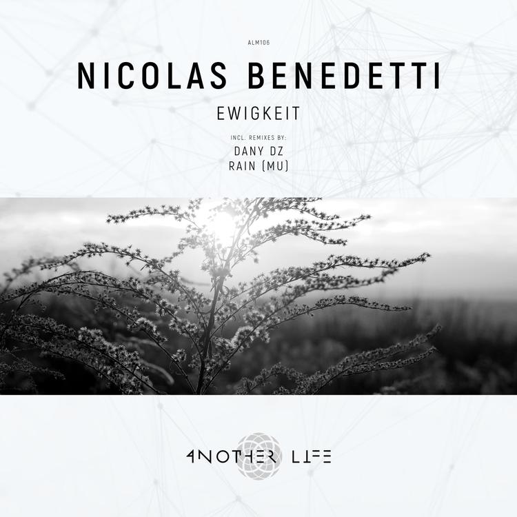 Nicolas Benedetti's avatar image