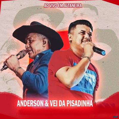 Dona da Minha Mente (Ao Vivo) By Anderson & Vei da Pisadinha's cover