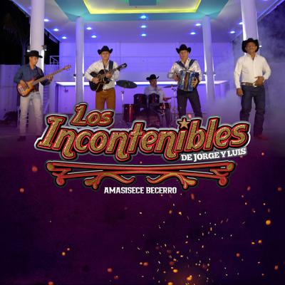 Los Incontenibles de Jorge y Luis's cover