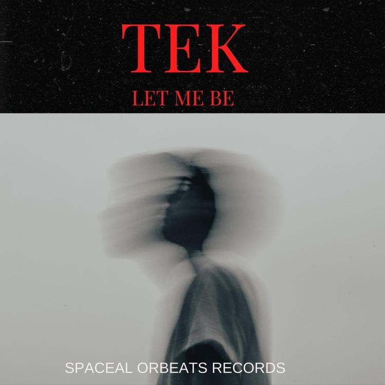 TEK's avatar image