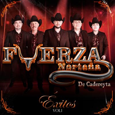 Fuerza Norteña De Cadereyta's cover