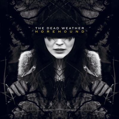 Hang You from the Heavens By The Dead Weather's cover