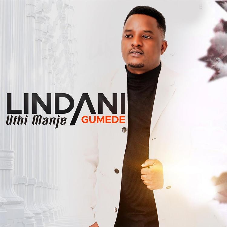 Lindani Gumede's avatar image