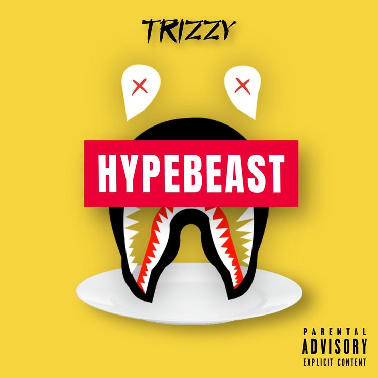 Trizzy's avatar image