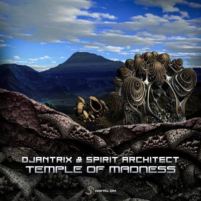 Temple of Madness By Djantrix, Spirit Architect's cover