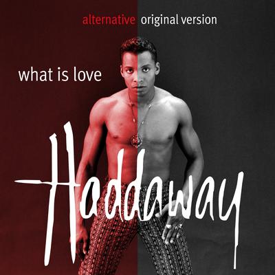 What Is Love (Alternative Original 12" Mix) By Haddaway's cover