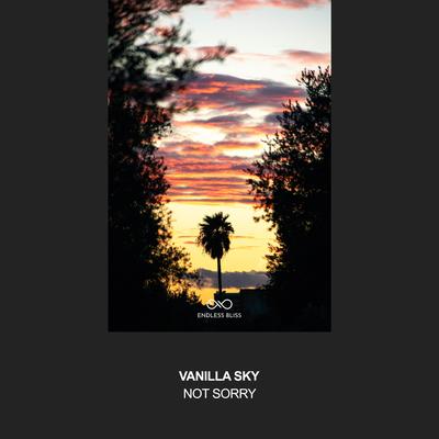 Not Sorry By Vanilla Sky's cover