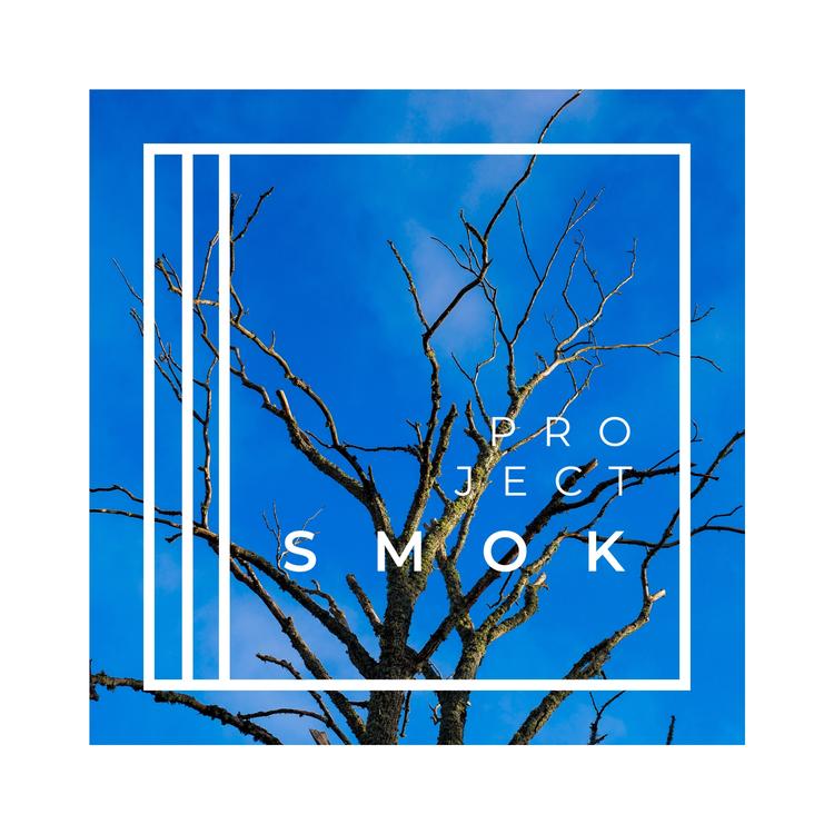 Project Smok's avatar image