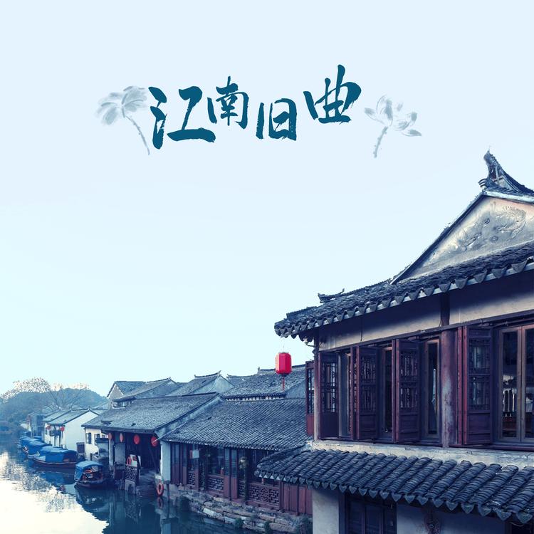 枫沁's avatar image