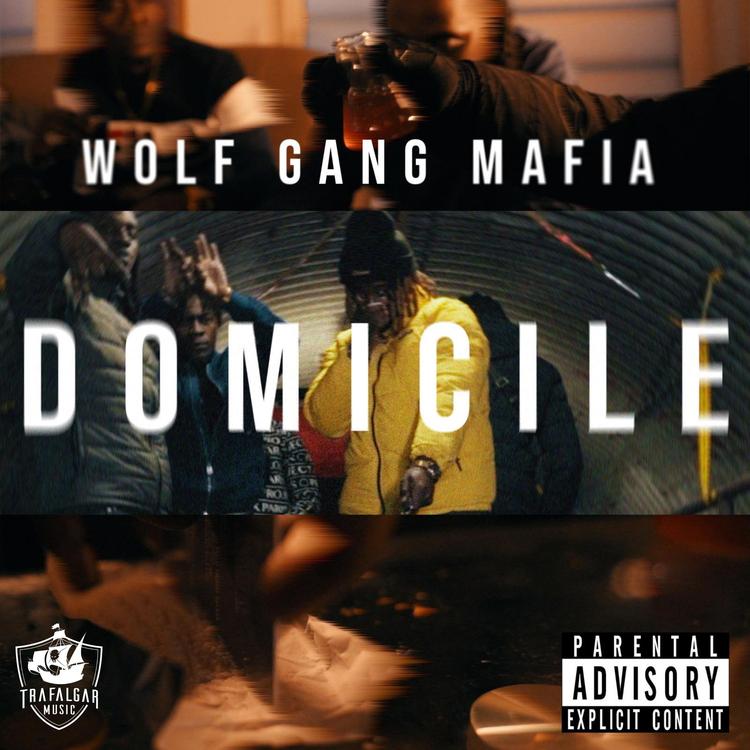 Wolf Gang Mafia's avatar image