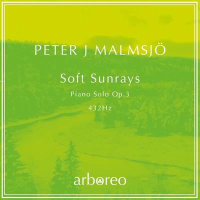 Soft Sunrays By Peter J. Malmsjö's cover