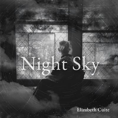 Night Sky By Elizabeth Cuite's cover