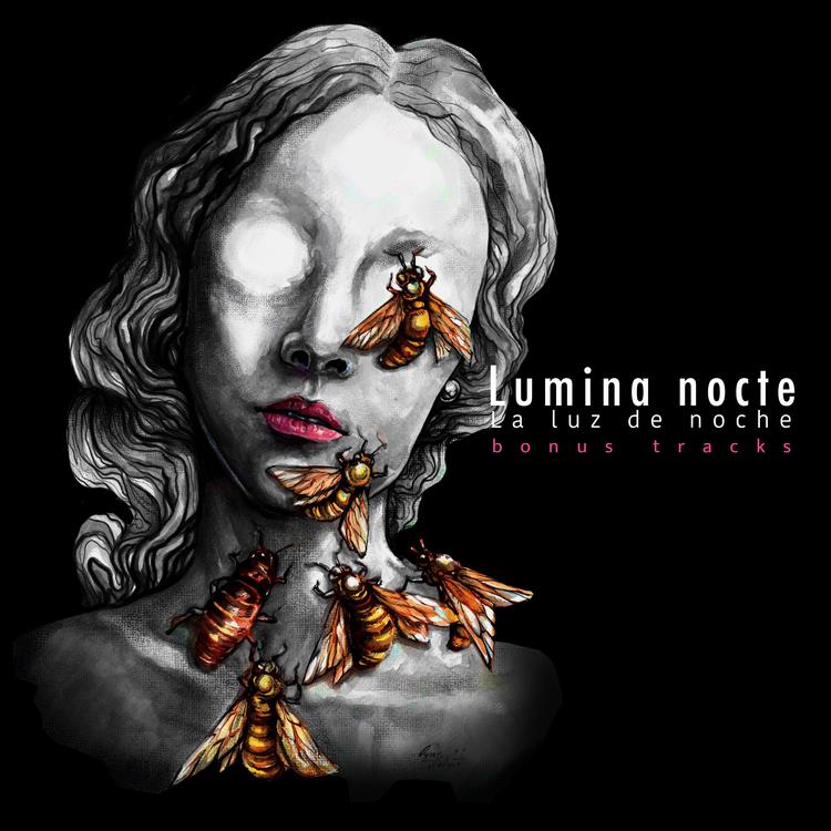 Lumina Nocte's avatar image