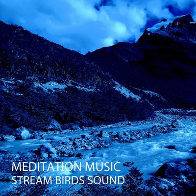 Tuneful Birds Music's cover