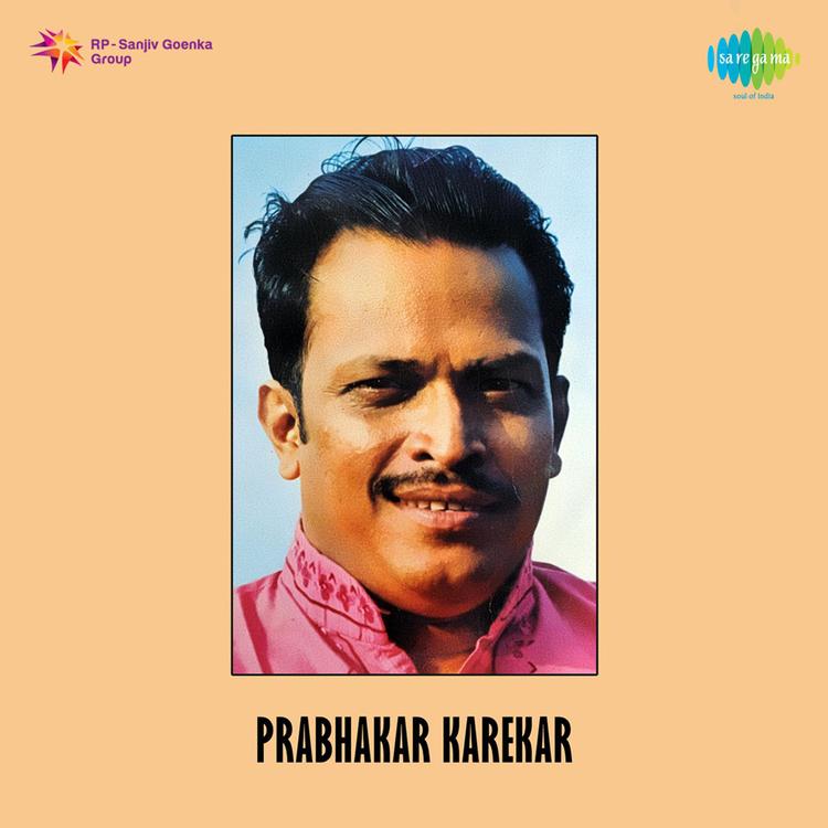 Pt. Prabhakar Karekar's avatar image