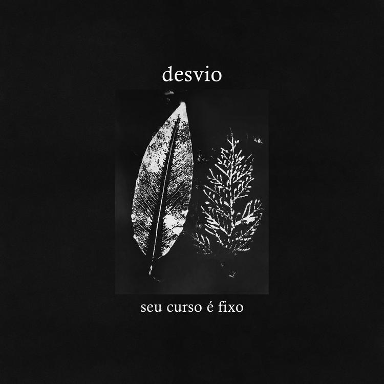 Desvio's avatar image