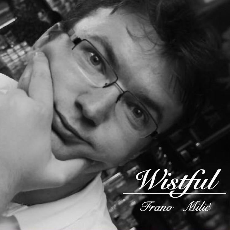 Frano Milic's avatar image