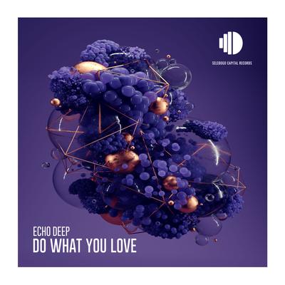 Do What You Love By Echo Deep's cover
