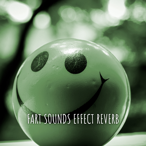 FART SOUNDS EFFECT REVERB Official TikTok Music