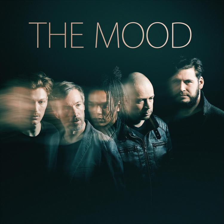 The Mood's avatar image