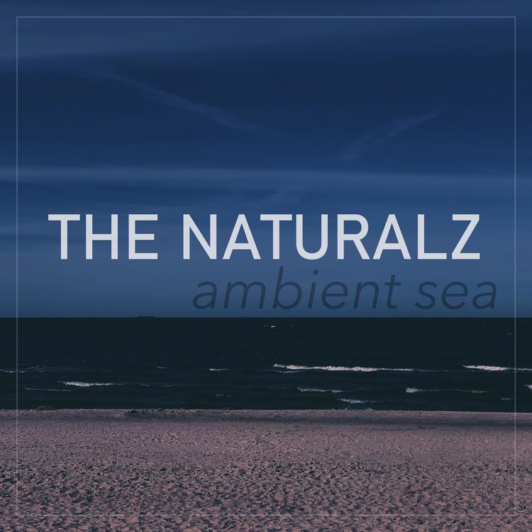 The Naturalz's avatar image