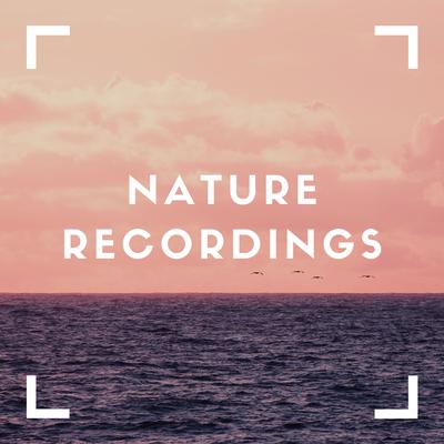 Somber Tunes of Nature's cover