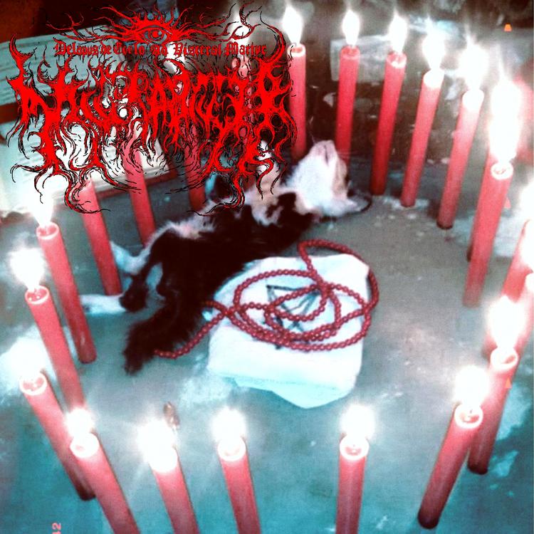 Visceral Martyr's avatar image