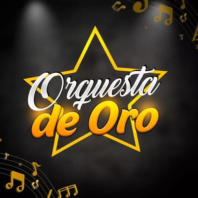 Mineirinho, Sai Da Minha Aba (Cover)'s cover