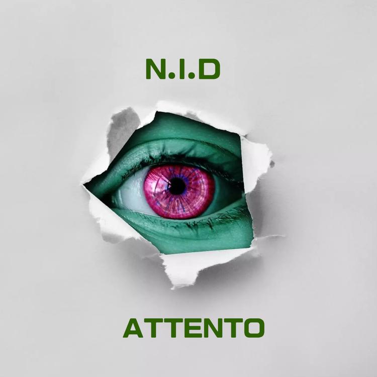 N.I.D's avatar image