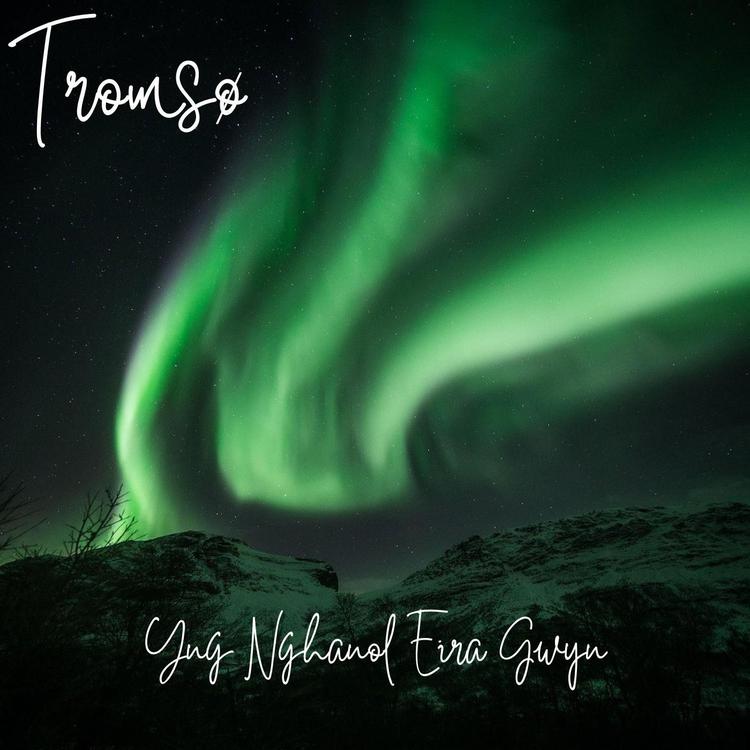 Tromsø's avatar image