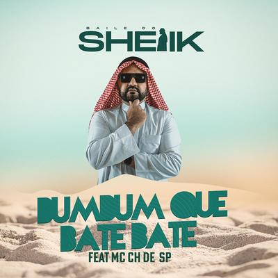 Baile do Sheik's cover