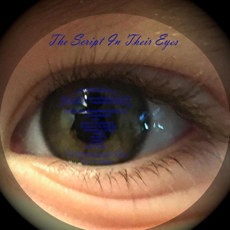 The Script in Their Eyes's avatar image